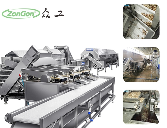 鵪鶉蛋蒸煮剝殼生產(chǎn)線(xiàn)